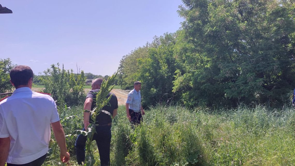 На территории Нововладимировского сельского поселения продолжает свою работу комиссия по мониторингу произрастания наркосодержащей растительности