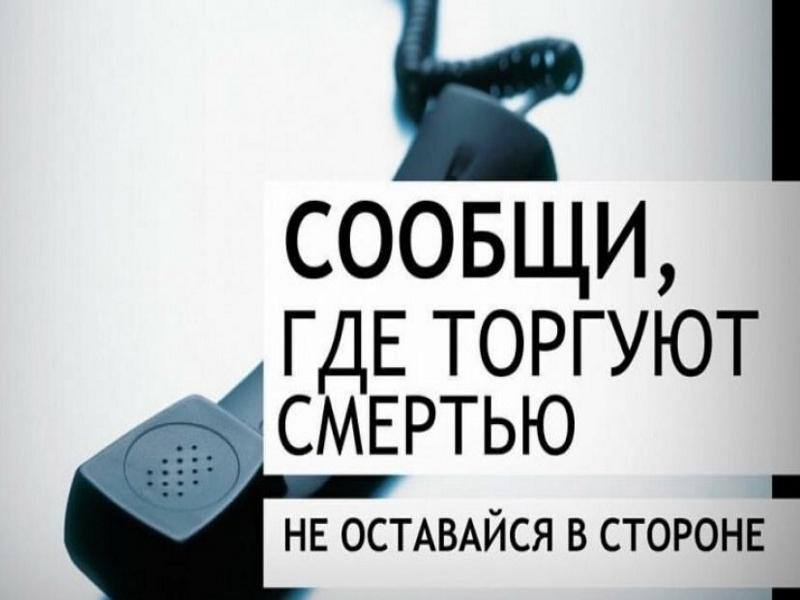 С 17 по 29 марта 2024 года   на территории муниципального образования Тбилисский район проводится первый этап Всероссийской акции «Сообщи, где торгуют смертью»